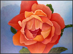 Summer Sunset Rose - Romantic Rose Oil Painting. Painting of a floribunda rose in toasty shades of orange against a blue sky background. 