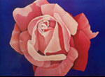 Romantic Rose: Large Closeup Rose Paintings on Canvas