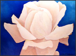 Apricot Nectar - Romantic Rose Oil Painting. Apricot pastel hybrid tea rose conveys a feel of sun and warmth. Artwork in shades of peach and blue. Artist - James Homer Brown, member of the Detroit Art Scene. 