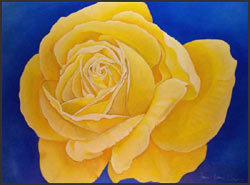 Golden Masterpiece - Romantic Rose Oil Painting. Gold Golden Yellow hybrid tea rose conveys picture projects a feeling of sun and warmth. Artwork in shades of sunny yellow, gold and blue. 