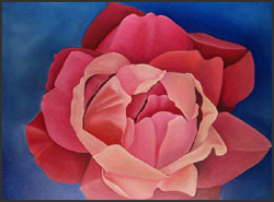 Seashell Hybrid Rose Painting - Romantic Rose Oil Painting. Image of a hybrid rose with petals the color of wine, pink and mauve. 