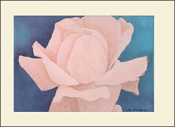 Apricot Nectar - Tea Rose Art Print. Artwork in shades of peach and blue